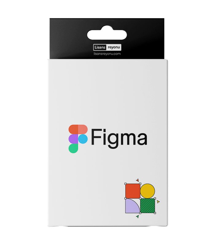 figma Figma Pro EDU (Size Özel) - Görsel 1